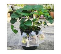 YKMYXZ, 100 Sacchetti di Protezione for Frutta, UVA e Fragole, for Giardino, con Coulisse, for ortaggi agricoli(20x30cm(100Pcs))