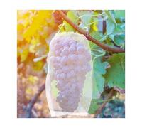 YKMYXZ, 50 Pezzi di Sacchetti a Rete for Proteggere Piante da Giardino, Fiori e Frutta, for la Protezione a Rete delle coperture delle Piante(15x45cm)