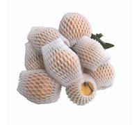 YKMYXZ, 50 Pezzi di Tasca in Rete di Schiuma, for Protezione Antiurto, Trasporto, imballaggio, Verdura, Frutta, Borsa a Rete Spessa(22X10CM)