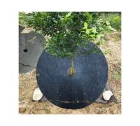 YKMYXZ， Anelli for Alberi in Tessuto Non Tessuto, Protezione for Alberi, for Copertura di Piante ispessite, Anti-Erba(32cm 10pcs)