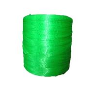 YKMYXZ, Sacchetto a Rete for Noci e Castagne, Sacchetto a Rete in plastica Intrecciata for Frutta, Corda for Piante, Sacchetto a Rete for barriera Domestica e Giardino(Green Color,Length 30M)