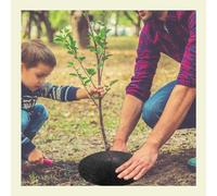 YKMYXZ, Tappetino Protettivo for Alberi ad Anelli, 10 Pezzi, for Giardino Domestico, in Tessuto Non Tessuto, Anti-Erba, for Giardinaggio(10pcs15cm)