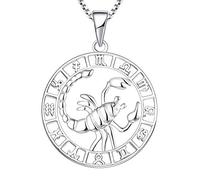 YL Collana Scorpione in argento-Orecchino in argento sterling 925 Zodiac 12 Collana con pendente a costellazioni per donne e ragazze