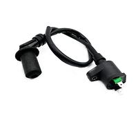 YLHMG Motore generatore Gas Bobina di accensione, for, ET950 ET650 Ricambio per Motore Tosaerba