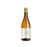 Yllera Verdejo Vendimia Nocturna 2025