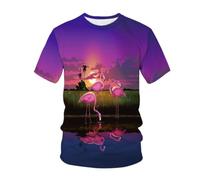 YLLMNOBN T-Shirt da Uomo a Maniche Corte e vestibilità Ampia, con Stampa 3D di tramonti, Animali e Uccelli, Perfetta per L'Estate.