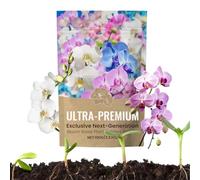 Ylnailky Fertilizzante Per Piante Da Appartamento - Nutrienti Vegetali In Polvere,Miglioratore Del Terreno Stimolante Della Fioritura Cura Giardinaggio Per Fiori Giardino Vegetali Crescita Vigorosa