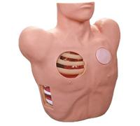 ylpddmm Simulatore di Assistenza al paziente, Laboratorio di Anatomia, Modello didattico per la Formazione Medica, per Formazione avanzata e dimostrazioni didattiche