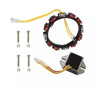 YLYOZMD Ricambi Auto per Briggs & Stratton Statore Alternatore 691064 696458 592830 1016 Ampere Regolato