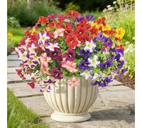 YMIFEEY 8 fasci di piante artificiali da balcone come vera pianta artificiale per esterni, resistente alle intemperie, balcone, fiori finti, fiori di seta per esterni, terrazze, fioriere davanzale