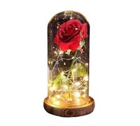 Ymnilian Rosa Eterna,Rosa Stabilizzata Fiore eterno di Lamina d'oro 24K Rosa incantata con luci Stringa Fata nella Cupola for Il Regalo San Valentino Natale(001)