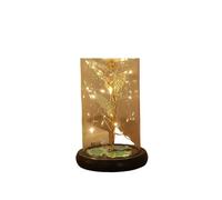 Ymnilian Rosa Eterna,Rosa Stabilizzata Fiore eterno di Lamina d'oro 24K Rosa incantata con Lucine a Forma Stringa nella Cupola for Il Regalo San Valentino Natale(Clear)
