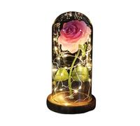 Ymnilian Rosa Eterna,Rosa Stabilizzata Fiore eterno di Lamina d'oro 24K Rosa incantata con Lucine a Forma Stringa nella Cupola for Il Regalo San Valentino Natale(Brown Base Pink)
