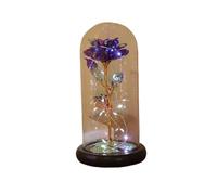 Ymnilian Rosa Eterna,Rosa Stabilizzata Fiore eterno di Lamina d'oro 24K Rosa incantata con Lucine a Forma Stringa nella Cupola for Il Regalo San Valentino Natale(Red)