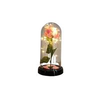 Ymnilian Rosa Eterna,Rosa Stabilizzata Magic Rose Eternal 24K Lamina d'oro Fiore Cupola Fata String Lights Natale San Valentino Regalo for la Festa della Mamma(052)