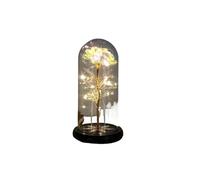 Ymnilian Rosa Eterna,Rosa Stabilizzata Magic Rose Eternal 24K Lamina d'oro Fiore Cupola Fata String Lights Natale San Valentino Regalo for la Festa della Mamma(038)
