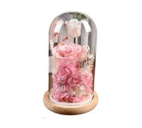 Ymnilian Rosa Eterna,Rosa Stabilizzata Regali di Rose conservate for Le Donne Fiori eterni Rose in Cupola Vetro con luci for Il Compleanno della Festa Mamma, Regalo San Valentino(Pink)