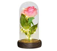 Ymnilian Rosa Eterna,Rosa Stabilizzata Regali for lei Rosa eterna in Cupola di Vetro Fiore Artificiale for Sempre Luce for la Festa della Mamma for Le Donne(Pink Flower)