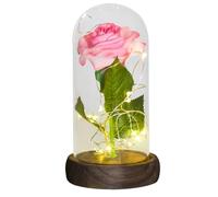 Ymnilian Rosa Eterna,Rosa Stabilizzata Regali for lei Rosa eterna in Cupola di Vetro Fiore Artificiale for Sempre Luce for la Festa della Mamma for Le Donne(Light Pink Flower)