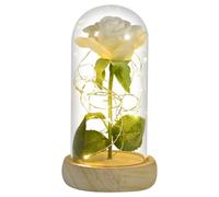 Ymnilian Rosa Eterna,Rosa Stabilizzata Regali for lei Rosa eterna in Cupola di Vetro Fiore Artificiale for Sempre Luce for la Festa della Mamma for Le Donne(White Flower)