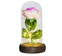 Ymnilian Rosa Eterna,Rosa Stabilizzata Regali for lei Rosa eterna in Cupola di Vetro Fiore Artificiale for Sempre Luce for la Festa della Mamma for Le Donne(White Purple Flower)