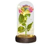 Ymnilian Rosa Eterna,Rosa Stabilizzata Regali for lei Rosa eterna in Cupola di Vetro Fiore Artificiale for Sempre Luce for la Festa della Mamma for Le Donne(Rainbow Flower)