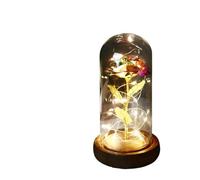 Ymnilian Rosa Eterna,Rosa Stabilizzata Regalo di San Valentino Rosa incantata Fiore eterno in Lamina d'oro 24K con Lucine a Forma Stringa nella Cupola for diserbo(010)