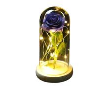 Ymnilian Rosa Eterna,Rosa Stabilizzata Rosa incantata eterna con Lucine nella Cupola for Il Regalo di San Valentino Natale(19)