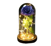 Ymnilian Rosa Eterna,Rosa Stabilizzata Rosa incantata eterna con Lucine nella Cupola for Il Regalo di San Valentino Natale(2)
