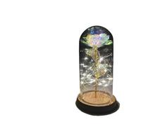 Ymnilian Rosa Eterna,Rosa Stabilizzata Rosa incantata eterna con Lucine nella Cupola for Il Regalo di San Valentino Natale(7)