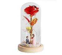 Ymnilian Rosa Eterna,Rosa Stabilizzata Rosa incantata eterna con Lucine nella Cupola for Il Regalo di San Valentino Natale(B03)