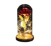 Ymnilian Rosa Eterna,Rosa Stabilizzata Rosa incantata eterna con Lucine nella Cupola for Il Regalo di San Valentino Natale(Brown Base Red)