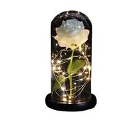 Ymnilian Rosa Eterna,Rosa Stabilizzata Rosa incantata eterna con Lucine nella Cupola for Il Regalo di San Valentino Natale(Black Base White)