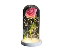 Ymnilian Rosa Eterna,Rosa Stabilizzata Rosa incantata eterna con Lucine nella Cupola for Il Regalo di San Valentino Natale(White Base Pink)