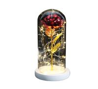 Ymnilian Rosa Eterna,Rosa Stabilizzata Rosa incantata eterna con Lucine nella Cupola for Il Regalo di San Valentino Natale(White Base Red)