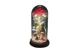 Ymnilian Rosa Eterna,Rosa Stabilizzata Rosa incantata eterna con Lucine nella Cupola for Il Regalo di San Valentino Natale(15)