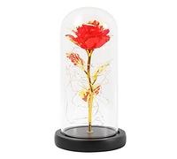 Ymnilian Rosa Eterna,Rosa Stabilizzata Rosa incantata eterna con Lucine nella Cupola for Il Regalo di San Valentino Natale(C03)