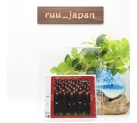 YMO YELLOW MAGIC ORCHESTRA XOO MULTIPLIES GIAPPONE CD NUOVO