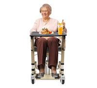 YNAADYH Sedia Trasferimento per Persone,Sedili di sollevamento,Ascensore idraulico per pazienti, Aiuto per il Trasferimento, Sedie a Rotelle di Trasporto (A2 200kg)