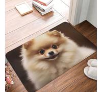 YNCATXZ Zerbino con simpatico cane Pomerania, 40 x 60 cm, antiscivolo, per interni ed esterni, lavabile, zerbino per ingresso e bagno, in flanella assorbente