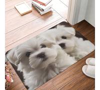 YNCATXZ Zerbino con simpatico cucciolo di maltese, 40 x 60 cm, antiscivolo, per interni ed esterni, lavabile, zerbino per ingresso, tappetino da bagno assorbente in flanella