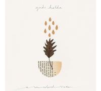 Yndi Halda A Sun Coloured Shaker (Vinyl LP) 12" Single