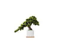 YNIYUJKL Alberi Artificiali Albero Artificiale Albero Artificiale Cinese Imitazione Marmorizzata Ornamenti per Alberi Simulazione Cipresso Pino Accogliente Bonsai Soggi,Green-A