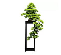 YNIYUJKL Alberi Artificiali Bonsai Artificiali Albero Artificiale Bonsai Finto Verde per La Casa dal Pavimento al Soffitto Bonsai Finto per Il Soggiorno Ufficio Grande D
