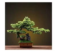 YNIYUJKL Alberi Artificiali, Bonsai Artificiali, Feng Shui, Bonsai Finti, Cedro Artificiale, Vaso in Ceramica, Pietra Artificiale per Paesaggistica Micro-Scape, Pianta,1