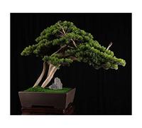 YNIYUJKL Albero Bonsai Albero Artificiale Bonsai Pianta Artificiale in Vaso Ingresso Interno Pianta Verde Decorazione Decorazione D'Interni Cinese Albero Finto con Vaso,Green