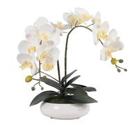YNIYUJKL Fiori Artificiali di Phalaenopsis da 14,96 Pollici, Orchidee di Seta in Vaso, Fiori Artificiali in Vaso per Centrotavola, Fiori Finti