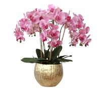 YNIYUJKL Orchidee Finte con Vaso in Porcellana, Fiori Artificiali, Fiori di Seta Artificiali, Fiori di Phalaenopsis Artificiali da 65 Cm, Orchidee Finte Artificiali