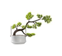 YNIYUJKL Piante Finte, Piante Artificiali, Ornamenti in Vaso, Bonsai, Micro Paesaggio, Mobili per Veranda, Decorazioni in Vaso di Ceramica, Albero Bonsai Simulato,B