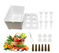 YNPQTDS Scatola di Coltivazione idroponica,Attrezzatura per Principianti,Contenitore per piantine idroponica Interna | per Insalata di Verdure Balcone terrazza Hotel Appartamento